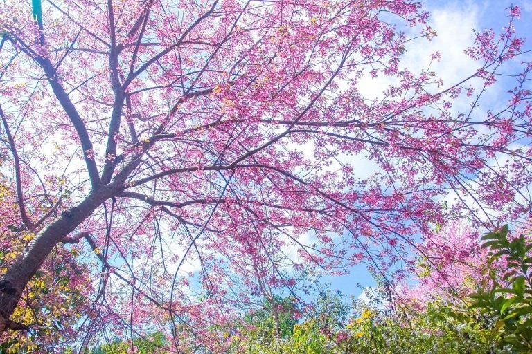 Bien-être au Travail : Clés pour une Fin d’Année Conviviale et Réussie